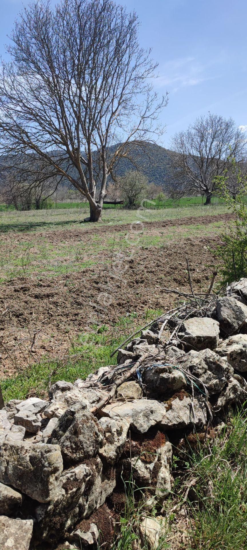 Acil Satılık !!! Burdur Ağlasun Hisarköy Muhteşem Konumda Tarlalar - BURDUR AĞLASUN fotoğraf 9